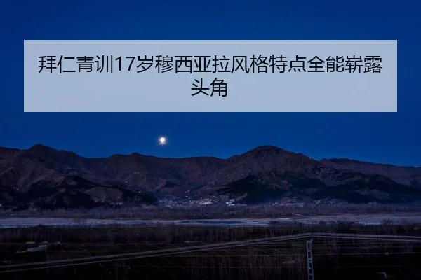 bai-ren-qing-xun-sui-mu-xi-ya-la-feng-ge-te-dian-quan-neng-zhan-lu-tou-jiao-2-177.jpg
